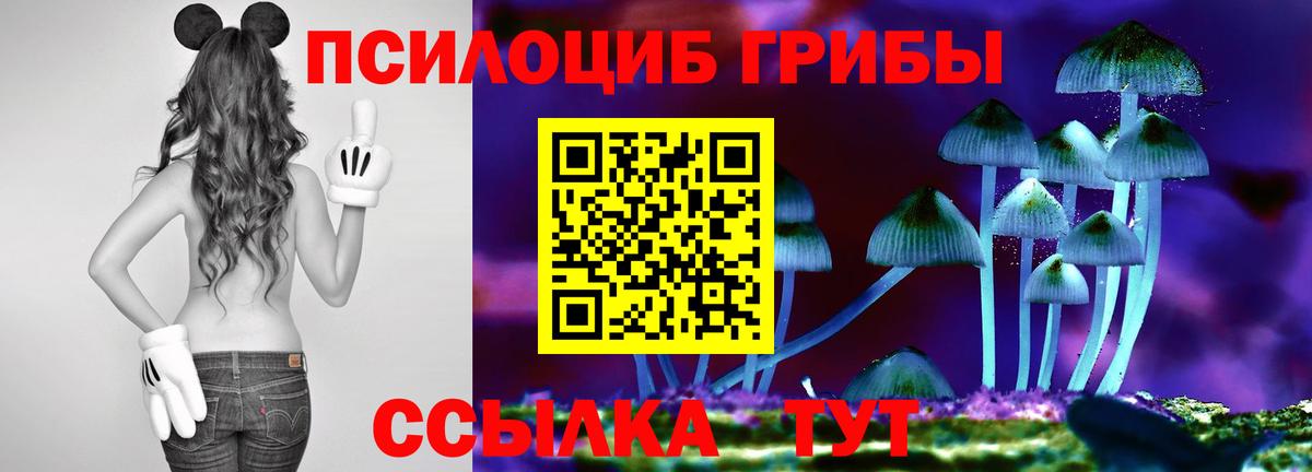 Псилоцибиновые грибы Cubensis Екатеринбург